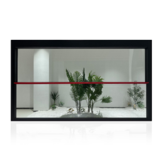Electric Lift Window