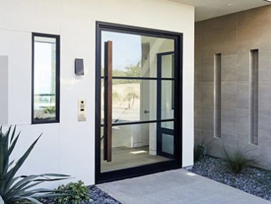 Glass Pivot Door